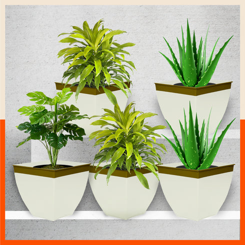 MYLA Metal Square Planters / Pots for Garden / Balcony | Medium – White & Bronze - Set of 5